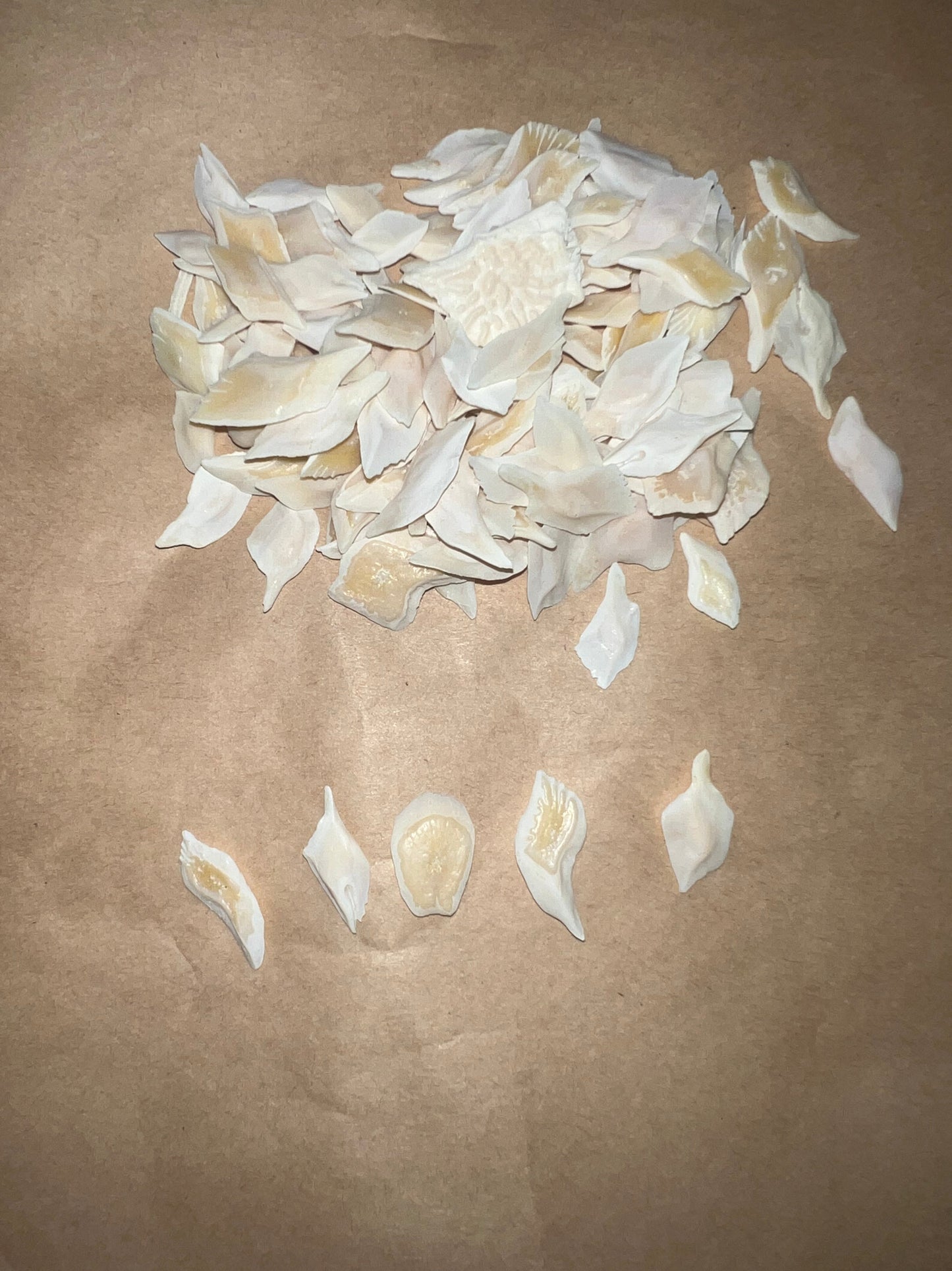 Gar Scales