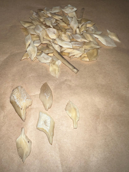 Gar Scales