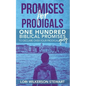 Promises for Prodigals: One Hundred Biblical Promises to Declare Over Your Prodigal Guy - Paperback