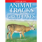 Animal Tracks of the Great Lakes - Paperback