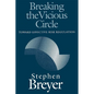 Breaking the Vicious Circle: Toward Effective Risk Regulation - Paperback