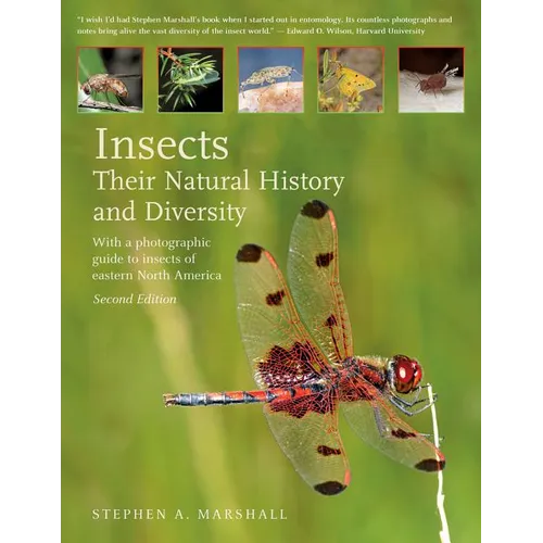 Insects: Their Natural History and Diversity: With a Photographic Guide to Insects of Eastern North America - Hardcover