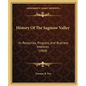 History Of The Saginaw Valley: Its Resources, Progress, And Business Interests (1868) - Paperback