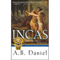 Incas: Book 3: The Light of Machu Picchu - Paperback