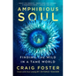 Amphibious Soul: Finding the Wild in a Tame World - Hardcover