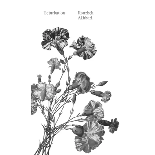 Peturbation: A Speculative History of Future(s) Past - Paperback