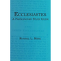 Ecclesiastes: A Participatory Study Guide - Paperback