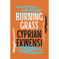 Burning Grass - Paperback