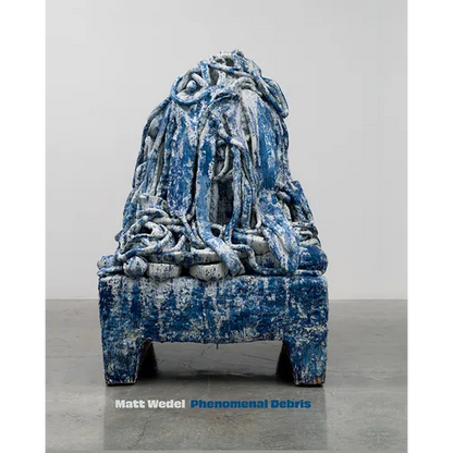 Matt Wedel: Phenomenal Debris - Hardcover