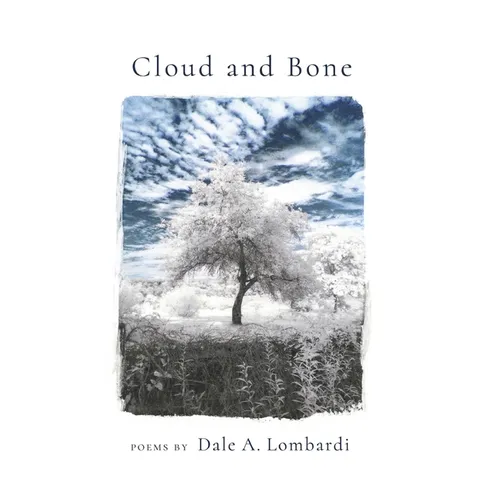 Cloud and Bone - Hardcover