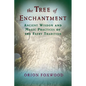 The Tree of Enchantment: Ancient Wisdom and Magic Practices of the Faery Tradition - Paperback