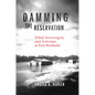 Damming the Reservation: Tribal Sovereignty and Activism at Fort Berthold Volume 23 - Hardcover