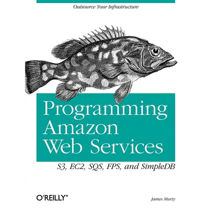 Programming Amazon Web Services: S3, EC2, SQS, FPS, and SimpleDB - Paperback
