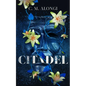 Citadel - Paperback