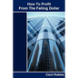 How To Profit From The Falling Dollar - Paperback