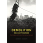 Demolition Means Progress: Flint, Michigan, and the Fate of the American Metropolis - Paperback