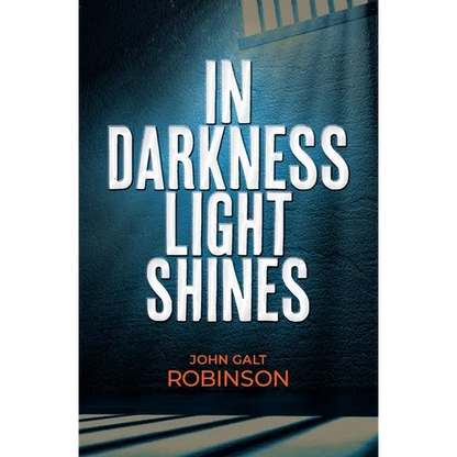In Darkness Light Shines - Paperback