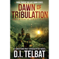 DAWN of TRIBULATION: America's Last Days - Paperback