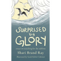 Surprised by Glory: Essays on Searching for the Sublime - Hardcover