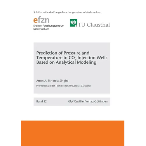 Prediction of Pressure and Temperature in CO2 Injection Wells Based on Analytical Modeling - Paperback
