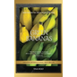 Green Bananas - Hardcover