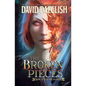 The Broken Pieces - Paperback