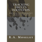 Tracking Fritz's Footsteps: Meditations on E.F. Schumacher's A Guide for the Perplexed - Paperback