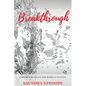 Breakthrough: Career Strategies for Women's Success - Paperback