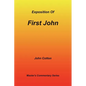 An Exposition of First John - Paperback