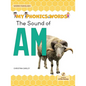 The Sound of Am - Paperback