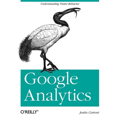 Google Analytics: Understanding Visitor Behavior - Paperback