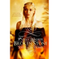 Broken Stone - Paperback