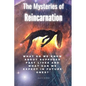 The Mysteries of Reincarnation: What do we know about supposed past lives and what can we expect in future ones? - Paperback