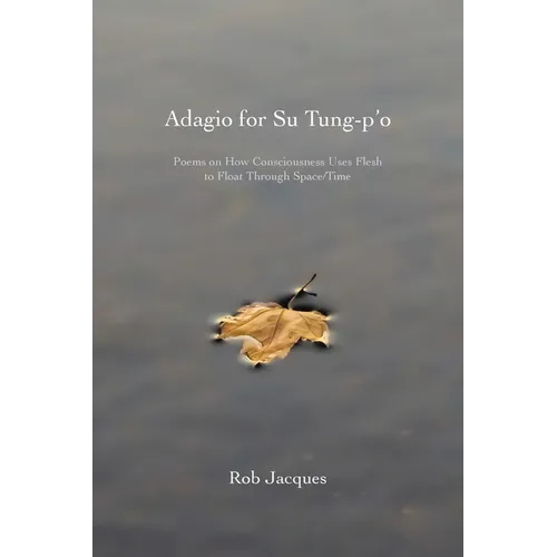 Adagio for Su Tung-p'o: Poems on How Consciousness Uses Flesh to Float Through Space/Time - Paperback