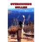 Overcoming Bullies: The Third Step on the Native Strength Path - Paperback