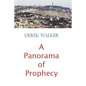 A Panorama of Prophecy - Paperback