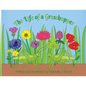 The Life of a Grasshopper - Paperback