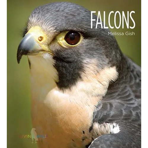 Falcons - Library Binding