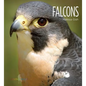 Falcons - Library Binding