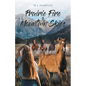 Prairie Fire to Mountain Skies - Paperback