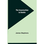 The Insurrection in Dublin - Paperback