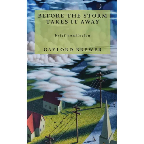 Before the Storm Takes It Away - Paperback