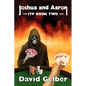 Joshua and Aaron Itp Book Two - Paperback