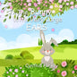 The Bunny With Very Large Ears - Paperback