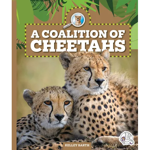 A Coalition of Cheetahs - Library Binding