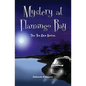 Mystery at Flamingo Bay - Paperback
