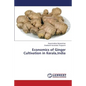 Economics of Ginger Cultivation in Kerala, India - Paperback