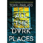 All the Dark Places: A Riveting Novel of Suspense with a Shocking Twist - Hardcover