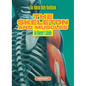 The Skeleton and Muscles: An Owner's Guide - Library Binding