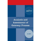 Analysis and Assessment of Gateway Process - Hardcover